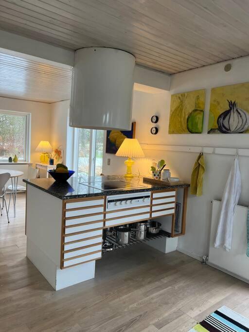 Skont Hus Pa Landet Taet Pa Billund Villa Give Exteriör bild